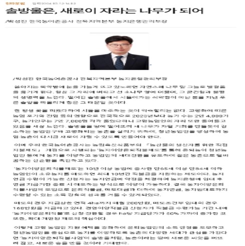 기고(솔방울은 새로이 자라는 나무가 되어).jpg